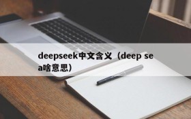 deepseek中文含义(deep sea啥意思)