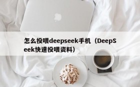 怎么投喂deepseek手机(DeepSeek快速投喂资料)