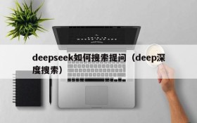 deepseek如何搜索提问(deep深度搜索)