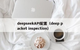 deepseekAPI配置（deep packet inspection）