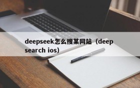 deepseek怎么搜某网站(deep search ios)