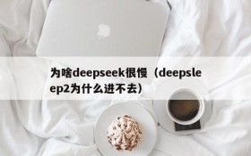 为啥deepseek很慢（deepsleep2为什么进不去）