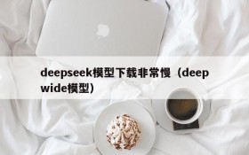 deepseek模型下载非常慢(deepwide模型)