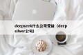 deepseek什么公司受益（deep silver公司）