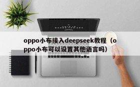 oppo小布接入deepseek教程(oppo小布可以设置其他语言吗)