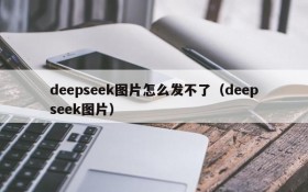 deepseek图片怎么发不了(deepseek图片)