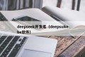 deepseek开发库（deepsukebe软件）