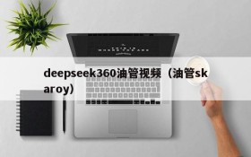 deepseek360油管视频（油管skaroy）