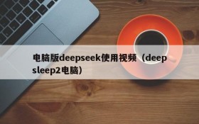 电脑版deepseek使用视频(deepsleep2电脑)