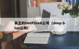 真正的DeePSeeK公司（deep blue公司）