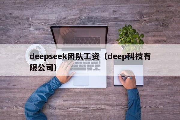 deepseek团队工资（deep科技有限公司）