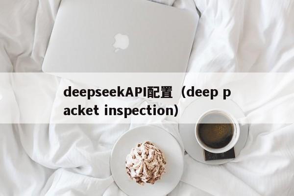 deepseekAPI配置（deep packet inspection）