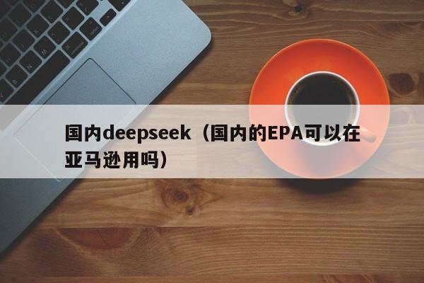 国内deepseek（国内的EPA可以在亚马逊用吗）