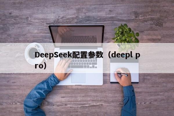 DeepSeek配置参数（deepl pro）