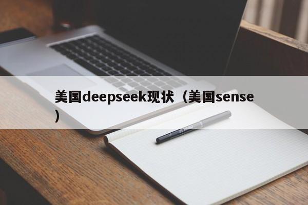 美国deepseek现状（美国sense）