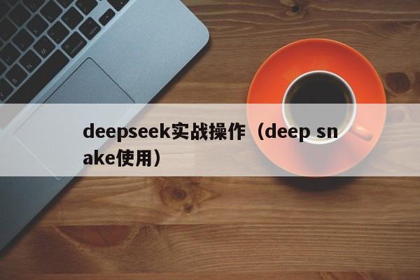 deepseek实战操作（deep snake使用）