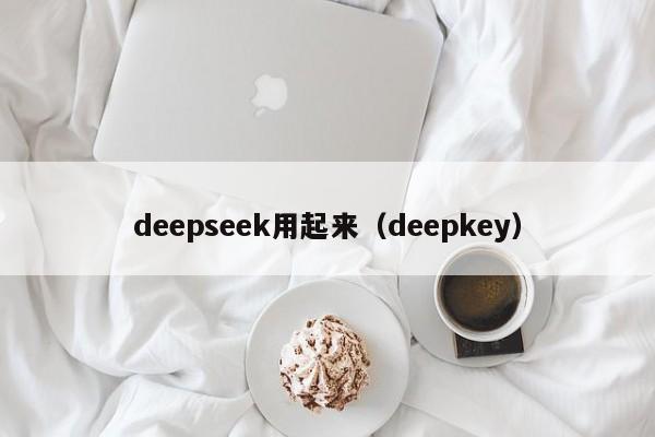 deepseek用起来（deepkey）