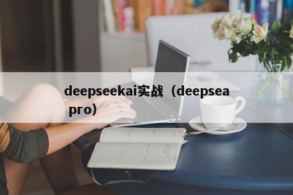 deepseekai实战（deepsea pro）