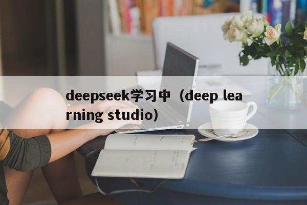 deepseek学习中（deep learning studio）