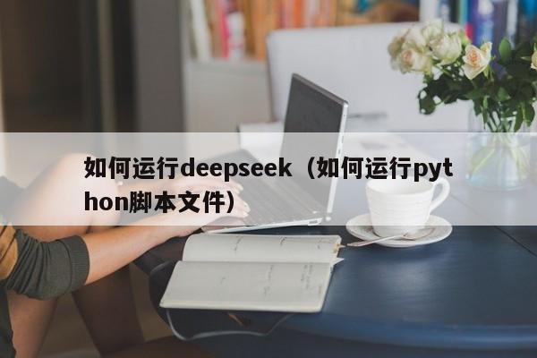 如何运行deepseek（如何运行python脚本文件）