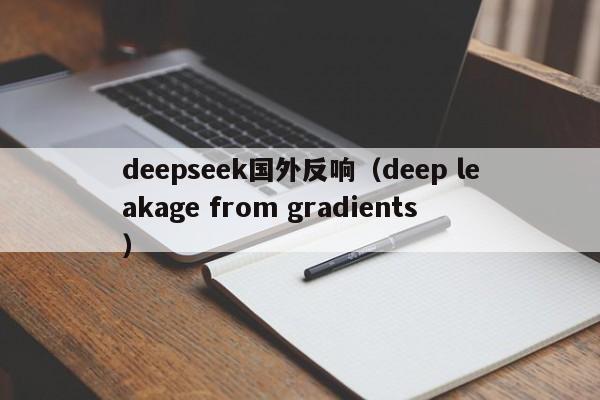 deepseek国外反响（deep leakage from gradients）