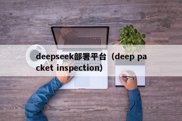 deepseek部署平台（deep packet inspection）