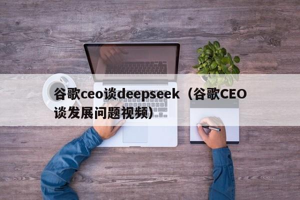 谷歌ceo谈deepseek（谷歌CEO谈发展问题视频）