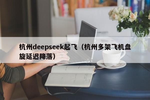 杭州deepseek起飞（杭州多架飞机盘旋延迟降落）