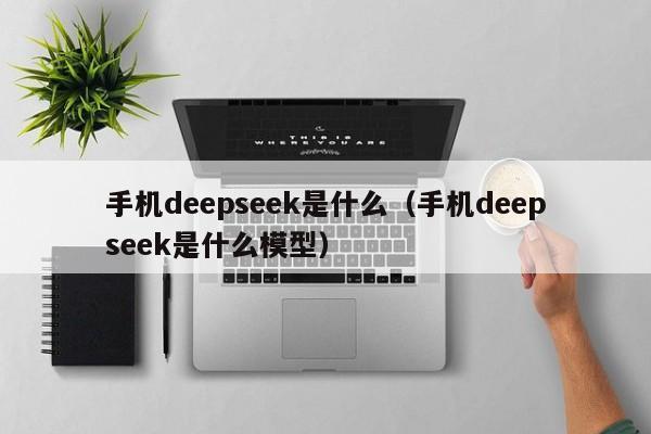 手机deepseek是什么（手机deepseek是什么模型）