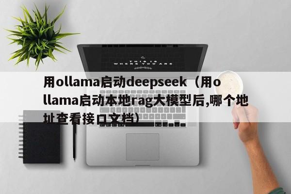 用ollama启动deepseek（用ollama启动本地rag大模型后,哪个地址查看接口文档）