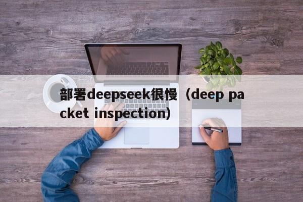 部署deepseek很慢（deep packet inspection）