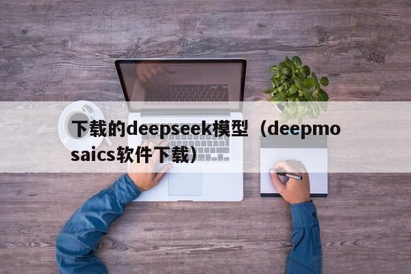 下载的deepseek模型（deepmosaics软件下载）