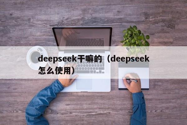 deepseek干嘛的（deepseek怎么使用）