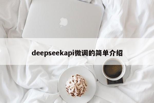 deepseekapi微调的简单介绍