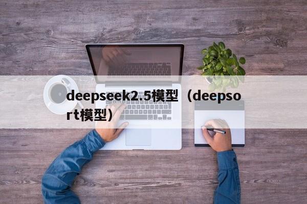 deepseek2.5模型（deepsort模型）