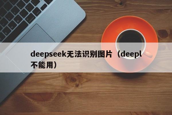 deepseek无法识别图片（deepl不能用）