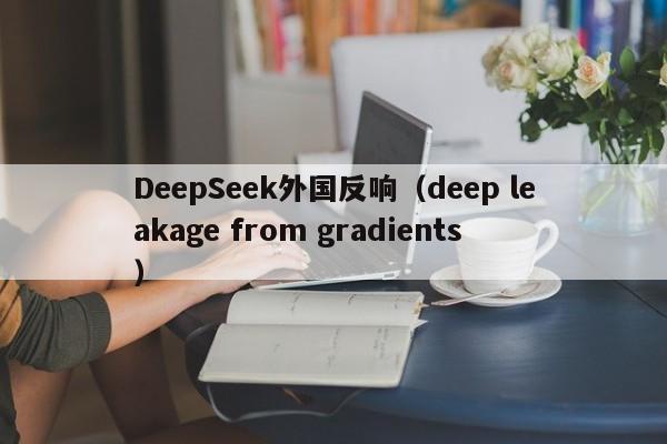 DeepSeek外国反响（deep leakage from gradients）