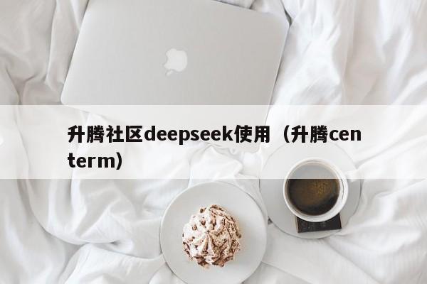 升腾社区deepseek使用（升腾centerm）