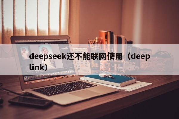 deepseek还不能联网使用（deeplink）