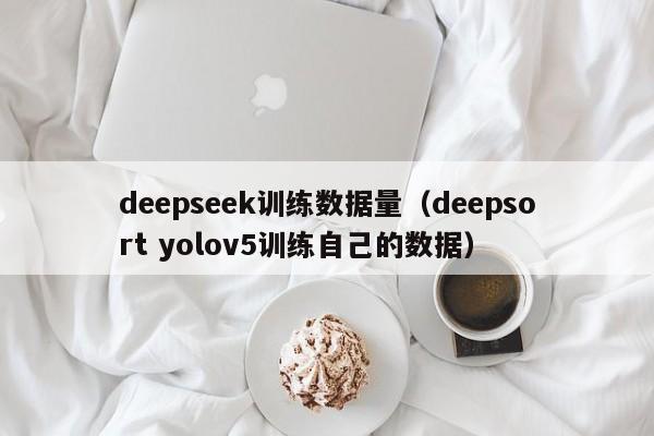 deepseek训练数据量（deepsort yolov5训练自己的数据）