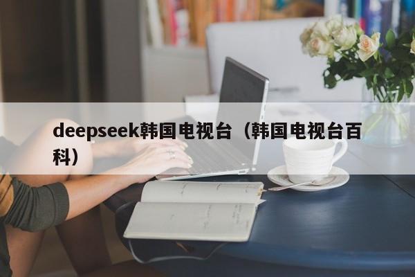 deepseek韩国电视台（韩国电视台百科）