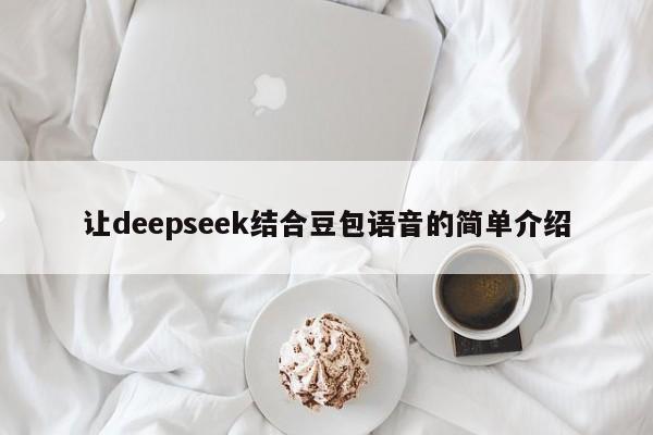 让deepseek结合豆包语音的简单介绍