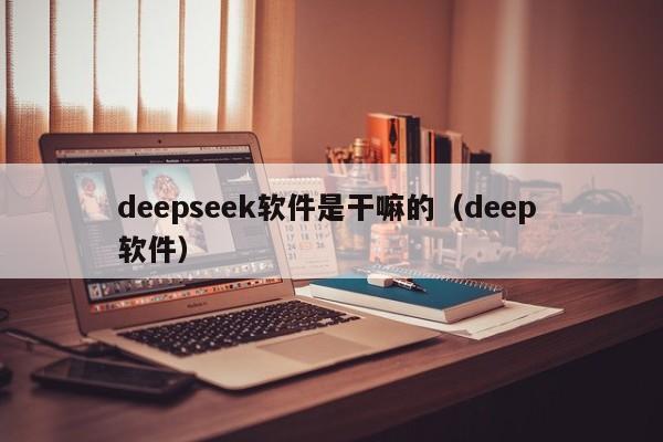 deepseek软件是干嘛的（deep 软件）