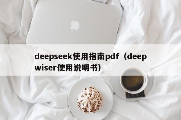 deepseek使用指南pdf（deepwiser使用说明书）