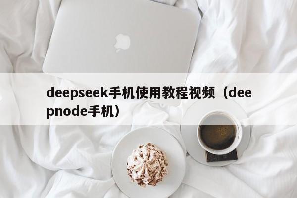 deepseek手机使用教程视频（deepnode手机）
