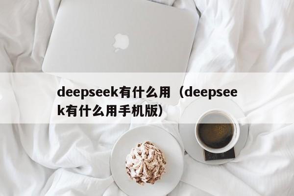 deepseek有什么用（deepseek有什么用手机版）