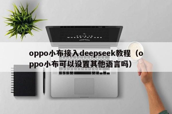 oppo小布接入deepseek教程（oppo小布可以设置其他语言吗）
