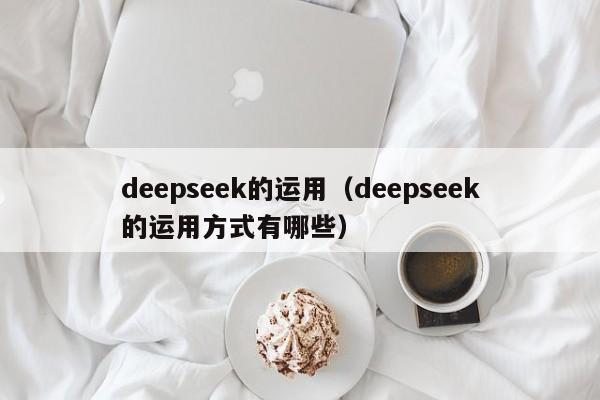 deepseek的运用（deepseek的运用方式有哪些）