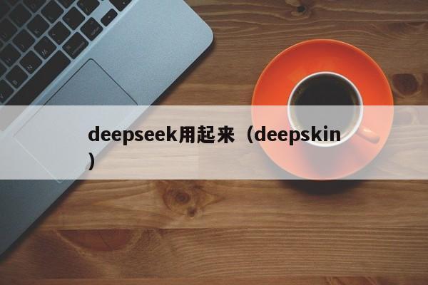 deepseek用起来（deepskin）