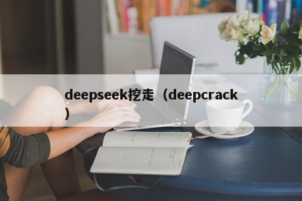 deepseek挖走（deepcrack）